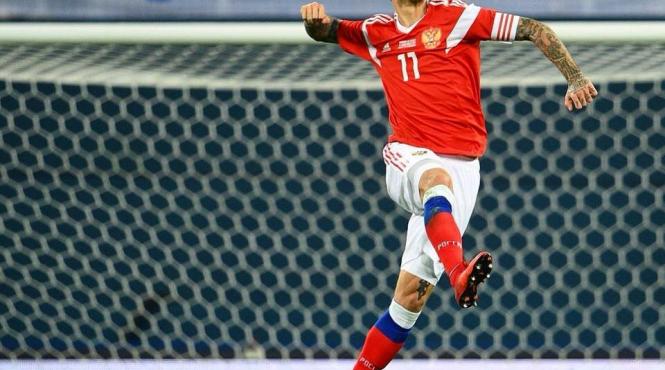 video cupa mondial 2018 un urs viu in plin centrul moscovei