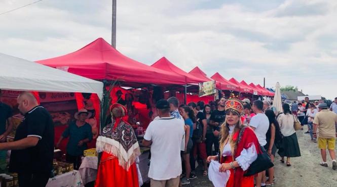 sarbatoarea campeneasca de la visina la a treia editie