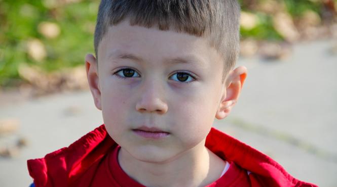 explicatiile psihoterapeutului 15 reguli de baza pentru sanatatea emotionala a copiilor nostri