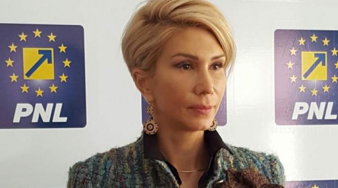 turcan dragnea ar trebui sa demisioneze din functia de presedinte al camerei deputatilor