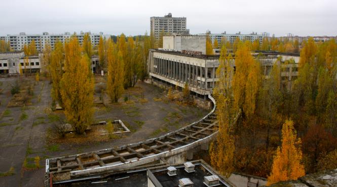 cainii din cernobil se pregatesc sa traiasca visul american