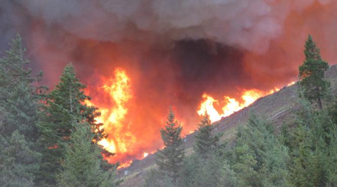 incendiu puternic de vegetatie in california
