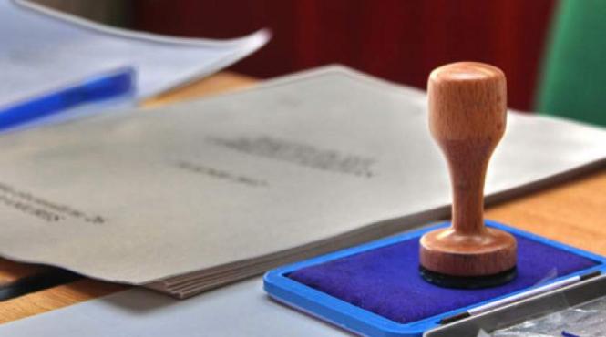 senat campania electorala permisa in ziua alegerilor