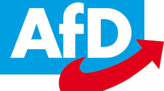 o reuniune a partidului de extrema dreapta afd intrerupta de protestatari cu ajutorul unui tun cu confetti