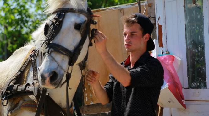 un milion de romani buni de munca nu misca un pai