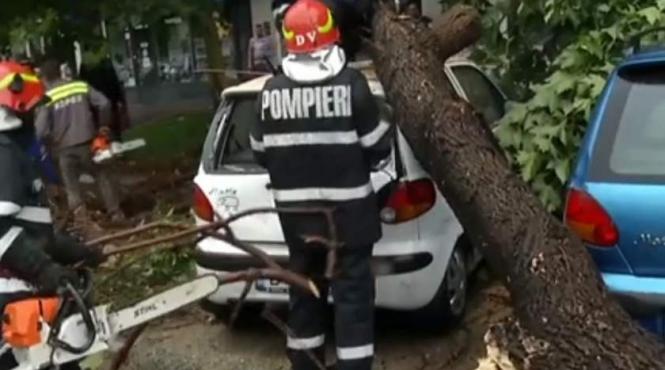 bilant isu dupa codul portocaliu din capitala 17 copaci cazuti pe carosabil sau masini