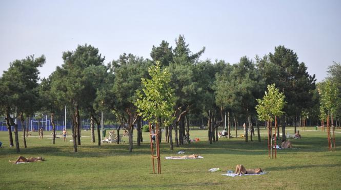 prognoza meteo pana pe 22 iulie ce se intampla cu ploile si ce evolutie vor avea temperaturile