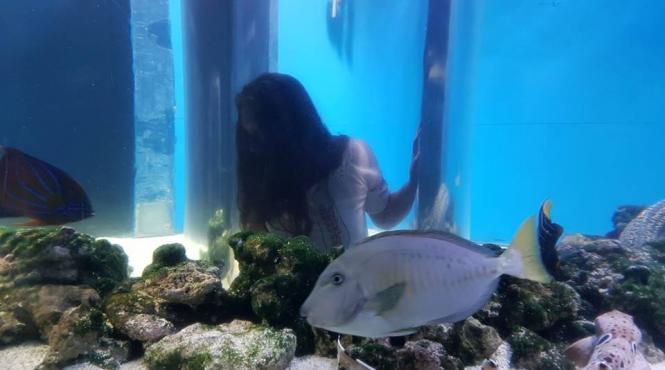 centrul muzeal ecoturistic delta dunarii