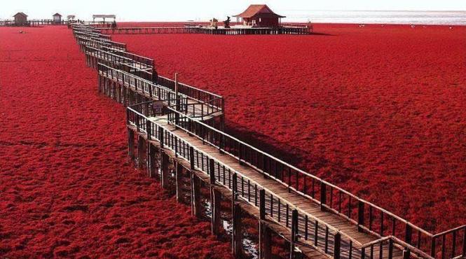 locuri uimitoare plaja rosie din china