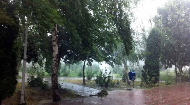 cod galben de furtuna in sibiu pana la 15 30