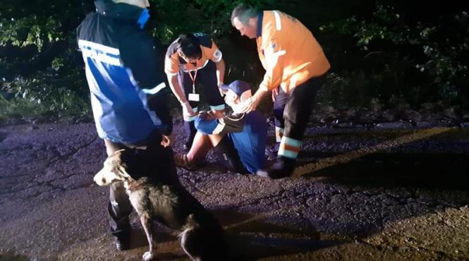 cainele care a salvat un ranit pe munte a fost adoptat