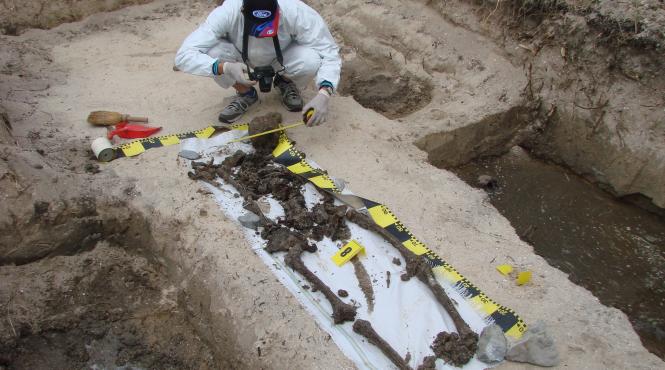 oseminte descoperite la periprava