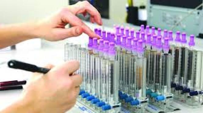 alerta la alba focar de hepatita de tip a majoritatea cazurilor fiind inregistrate in randul copiilor