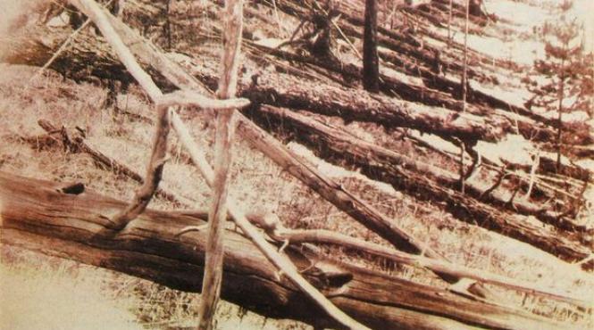 meteoritul de la tunguska nu a fost meteorit o noua versiune