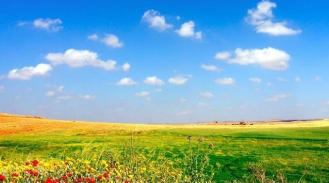 prognoza meteo pentru 2 3 4 si 5 august cer senin