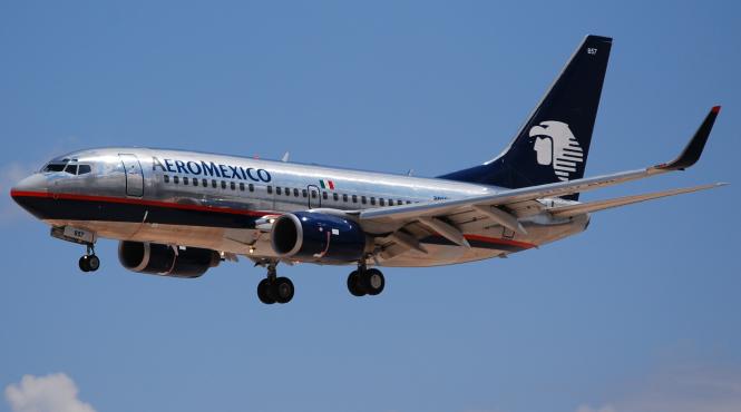 anchetatorii au gasit cutia neagra a avionului prabusit in mexic