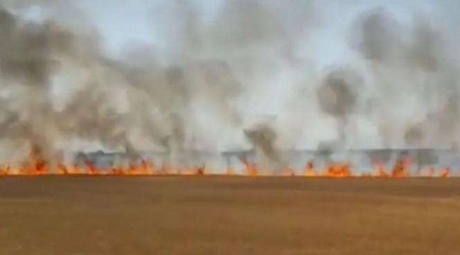 cinci hectare de grau au ars intr un incendiu la ratos
