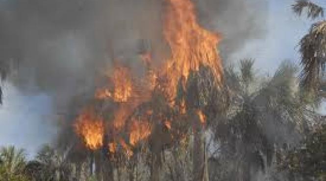 doua incendii de vegetatie din california s au extins la peste doua treimi din suprafata los angeles