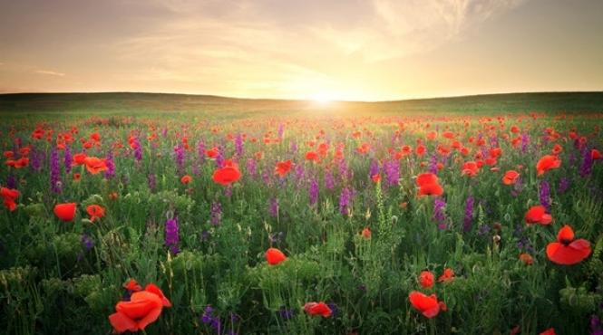 prognoza meteo pentru 17 18 19 si 20 august cer senin