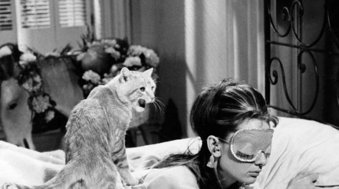 4 reguli sanatoase de urmat in dormitor