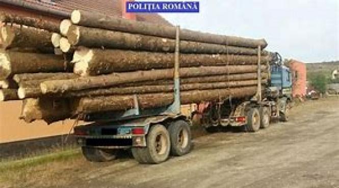peste 30 000 de metri cubi de lemn confiscati de politisti in primele sapte luni