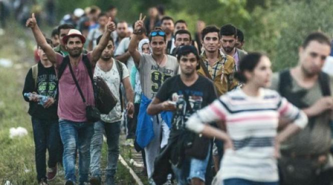 malta va expulza in italia un grup de migranti care locuiau intr o fosta ferma de vite