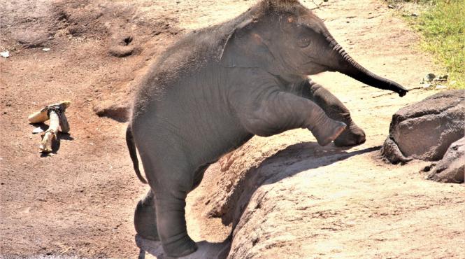 video una dintre cele mai frumoase imbratisari din lume