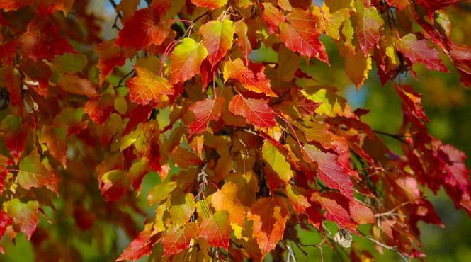 horoscop 2018 trei zodii vor avea probleme in septembrie