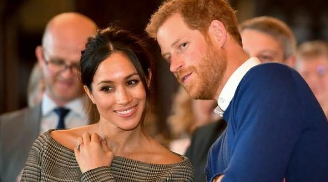 printul harry si meghan si au luat caine