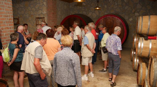 podgoriile din toata tara au deschis drumul vinului