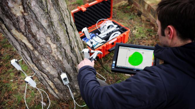 tomografe pentru copaci