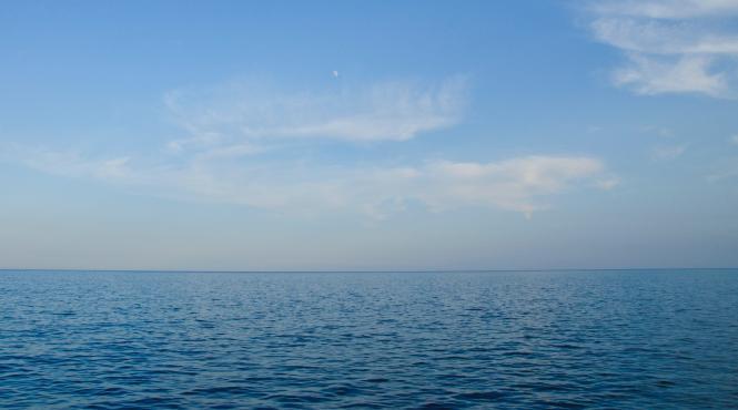 apele maritime internationale un rezervor de resurse genetice care nu sunt inca reglementate