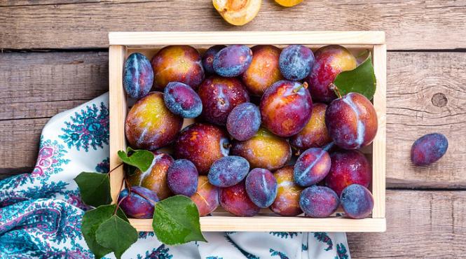 sezonul prunelor aceste fructe trateaza diabetul anemia si constipatia