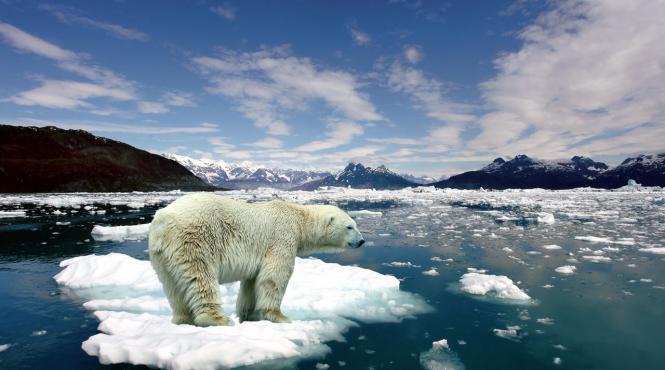 negocieri pentru clima organizate la bangkok