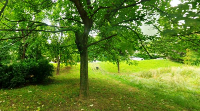 municipalitatea cumpara 4 6 ha in parcul verdi cu 49 7 milioane euro