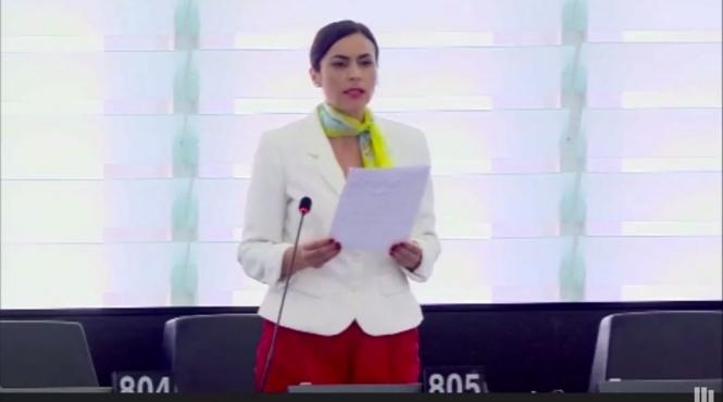 zoana psd romania nu pune ue in pericol ci cei care s au manifestat pentru europa cu doua viteze