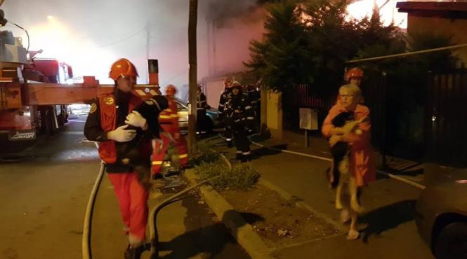 incendiu in capitala escrocheriile dezvoltatorului care a construit fara autorizatii 20 de blocuri