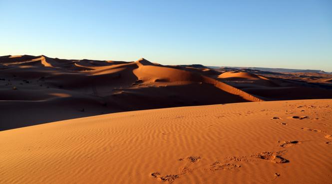 oamenii de stiinta au anuntat un plan incredibil pentru a aduce ploaia in desertul sahara