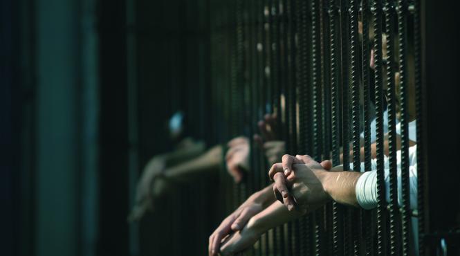 festival la inchisoarea jilava