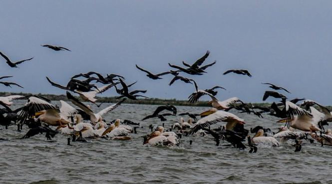 ce se poarta in turism in sezonul de toamna iarna