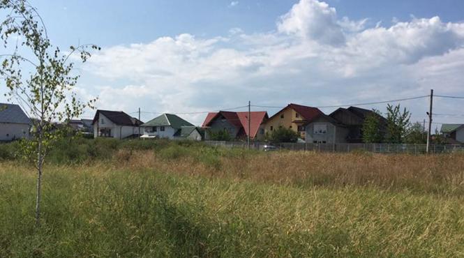 un sat alergic de la viceprimarul pitestiului