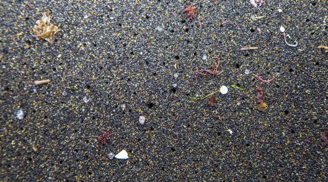 microplasticul a ajuns si in aer