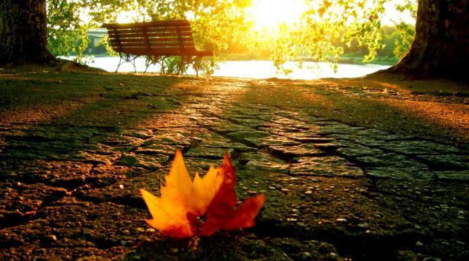 prognoza meteo pentru 20 21 22 si 23 septembrie soare