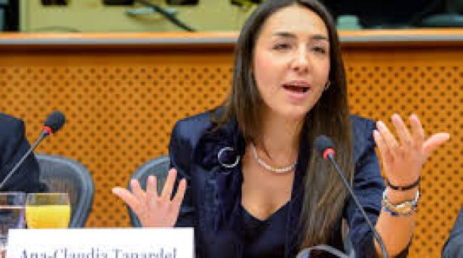 claudia tapardel europarlamentar psd fac apel la calm si unitate in interiorul psd