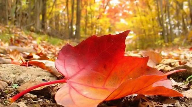 temperaturi cu pana la 7 grade mai scazute decat normalul perioadei in bucuresti din noaptea de luni spre marti