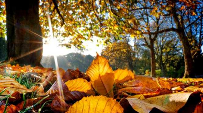 prognoza meteo pentru 28 29 30 si 1 octombrie cer senin