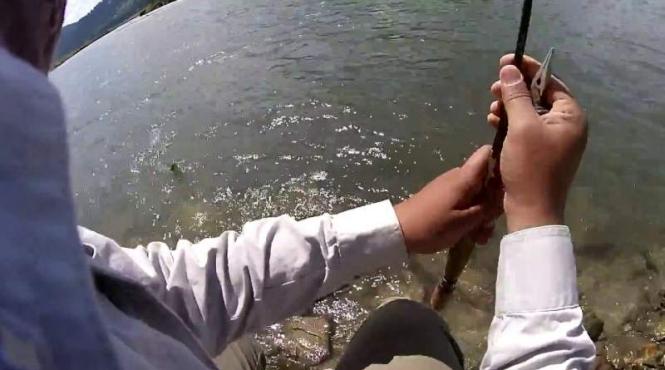 descoperire neasteptata in neamt cinci proiectile de artilerie gasite de un pescar pe malul raului moldova