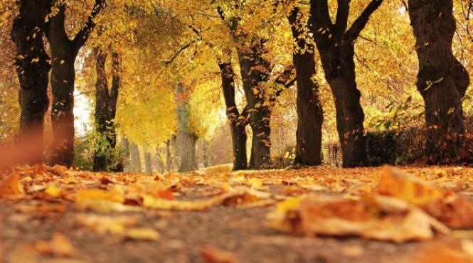 prognoza meteo pentru 4 5 6 si 7 octombrie cer noros