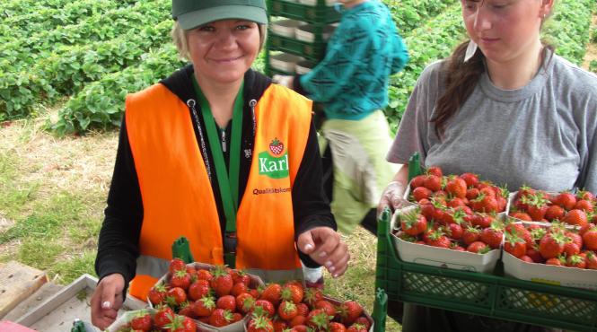 vrei un job in strainatate spania si germania si au prezentat ofertele