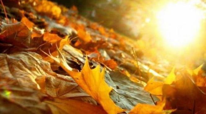 prognoza meteo pentru 8 9 10 si 11 octombrie 2018 cer senin